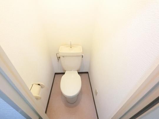 �y���̑��z�@�g�C��