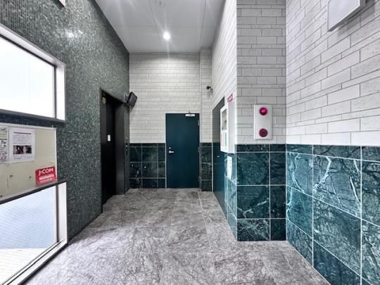 �y�����O�ρz�@���L����