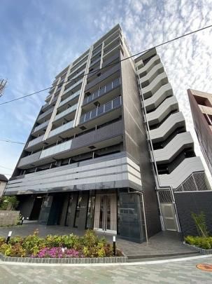 �X�v�����f�B�b�h�X �O�ώʐ^