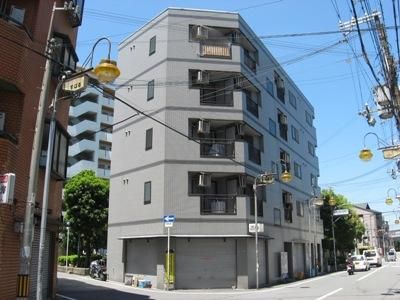 ���[�~�n�C�c�˖{ �O�ώʐ^