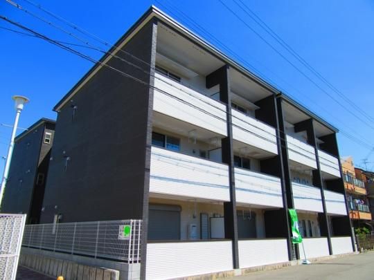 �W���l�X�P���U �O�ώʐ^