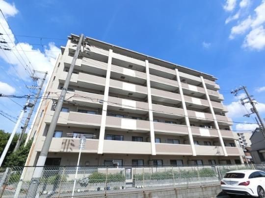 ���C�����R�[�g�̓� �O�ώʐ^