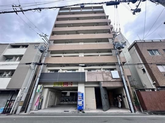 CASSIA�\�O �O�ώʐ^