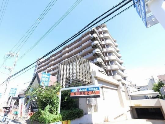 ����n�C���C�t�}���V���� �O�ώʐ^