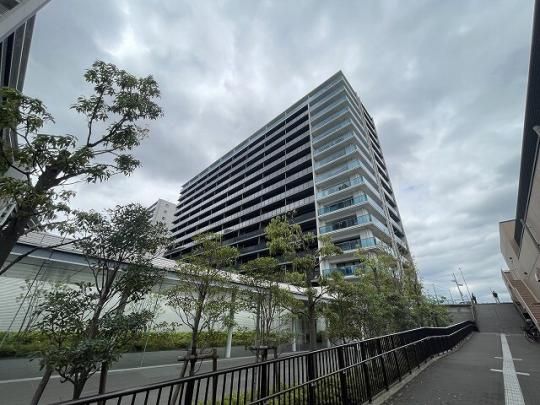 �V�e�B�e���X�_���w�O �O�ώʐ^