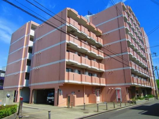 ���E�p���t�F�E�h�E�p���c�B�[�i �O�ώʐ^