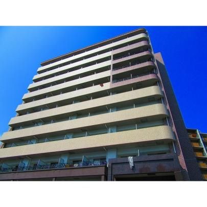 �X�v�����f�B�b�h�T �O�ώʐ^