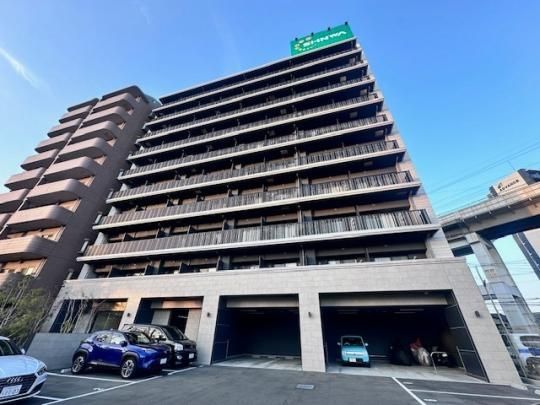 �X�v�����f�B�b�h�[ �O�ώʐ^