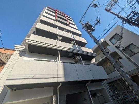 ONLYONE�˖{ �O�ώʐ^