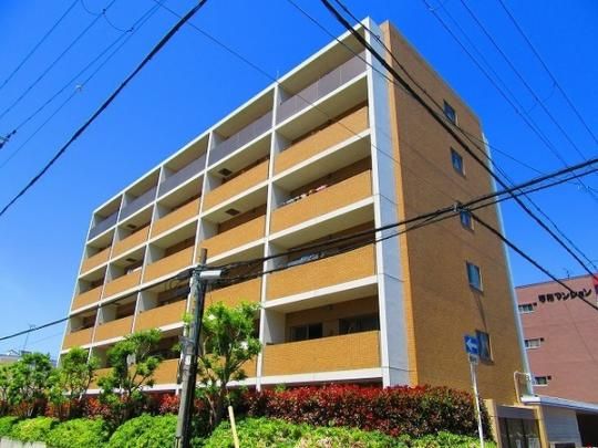 �p���X�t�H�[�˖{�U �O�ώʐ^