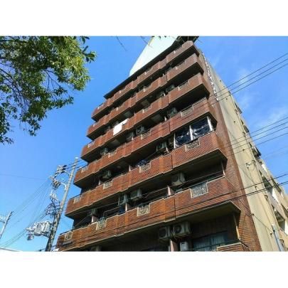 ���l�b�T���X�����V���� �O�ώʐ^