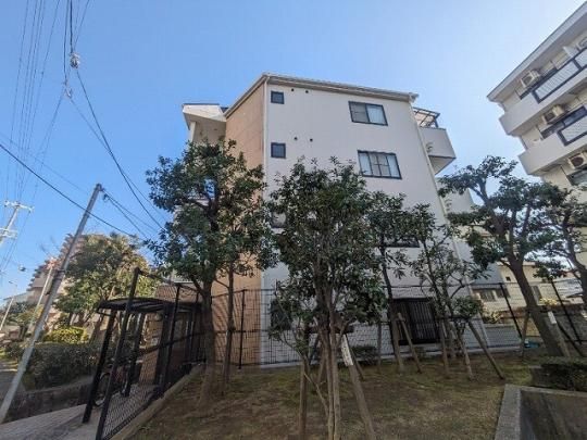 ���h�}���V�����p�[�g5 �O�ώʐ^