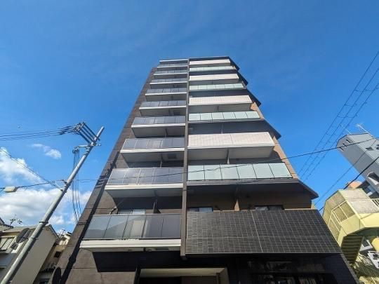 CttB[h˖{Grace Oώʐ^