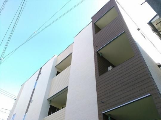 �n�[���j�[�e���X�˖{�U �O�ώʐ^