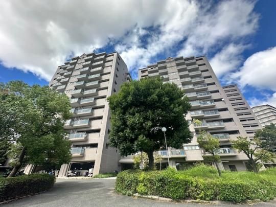 �}�C���Y�E�R���_��� �O�ώʐ^