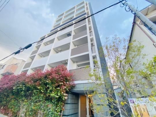 �t�@�[�X�g�G�t���V�A�P�� �O�ώʐ^