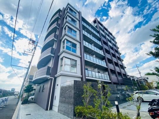 Kcourt tsukamoto Oώʐ^