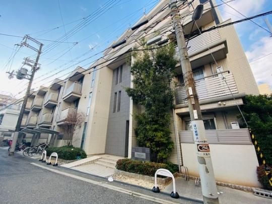 �X�e���f�B�I�����j�� �O�ώʐ^