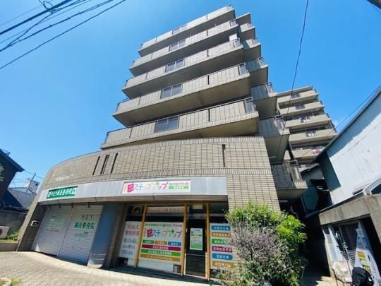 �W�I�i�˖{ �O�ώʐ^