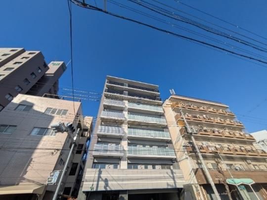 Live Flat�˖{�V�k�� �O�ώʐ^