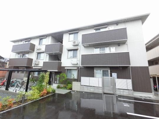 ���]���h���X�|���[�� �O�ώʐ^