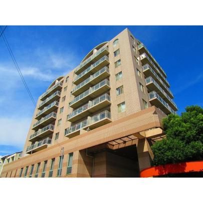 �t�F���e�B�E�V���g�[��� �O�ώʐ^