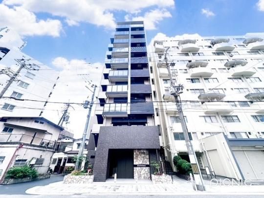 Live Flat Tsukamoto �O�ώʐ^