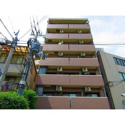 �n�[�g���[�t�X�Y�L �O�ώʐ^