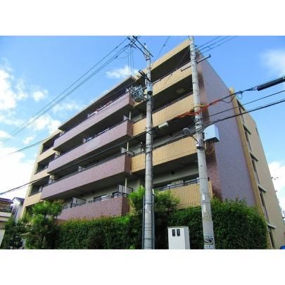 �G�X�|���[�� �O�ώʐ^