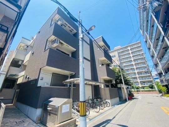 �t�W�p���X�P��EAST �O�ώʐ^