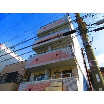 ���q�e���n�C�� �O�ώʐ^