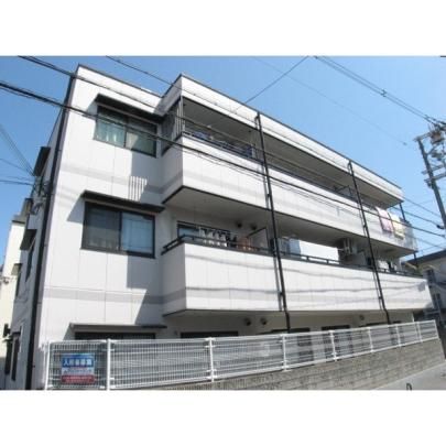 ���C�����J�[�T�P�� �O�ώʐ^