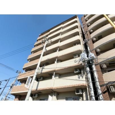 �t�F�A���[�R�[�g�̓��� �O�ώʐ^