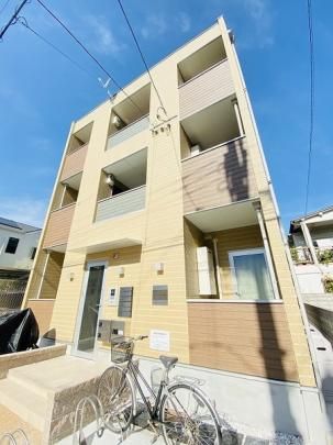 �n�[���j�[�e���X��M�U �O�ώʐ^