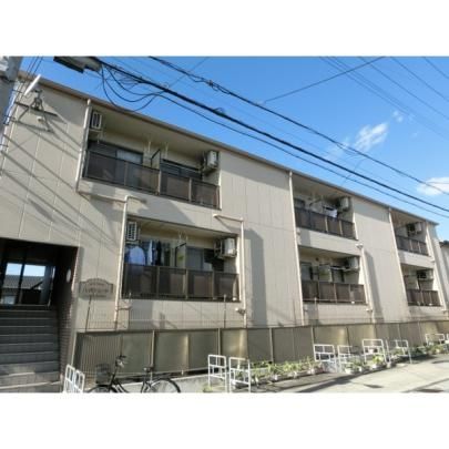 �n�C�c�V�[�h �O�ώʐ^