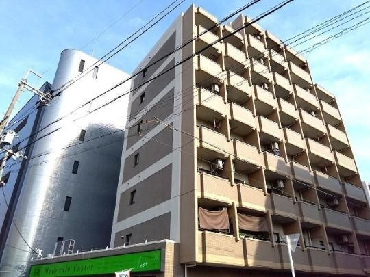 �I���G���g�n�C�c �O�ώʐ^