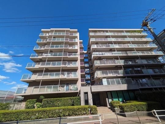 ��������M �O�ώʐ^