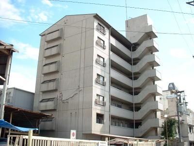 �n�C�c�}�G�J�� �O�ώʐ^