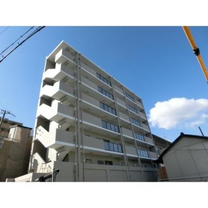 �v���~�A�R�[�g �O�ώʐ^