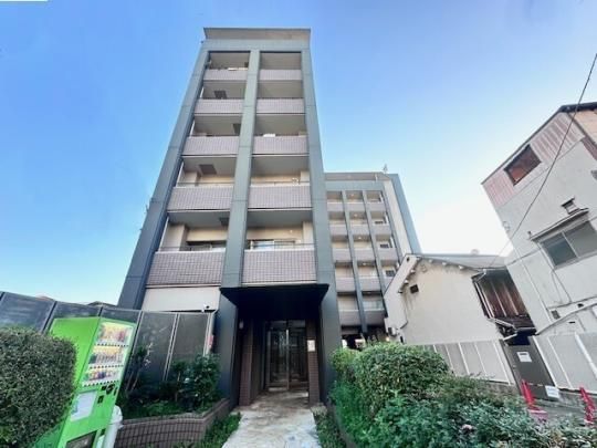 �A���g�s�m�P�� �O�ώʐ^