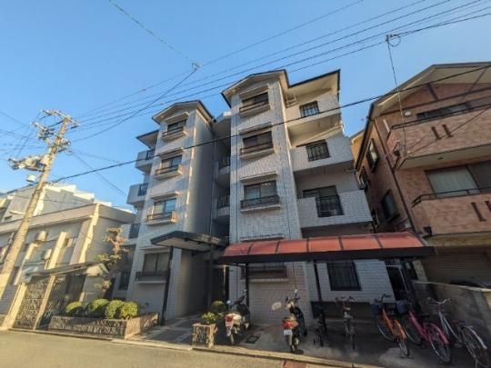 �R���t�H�[�g�t�� �O�ώʐ^