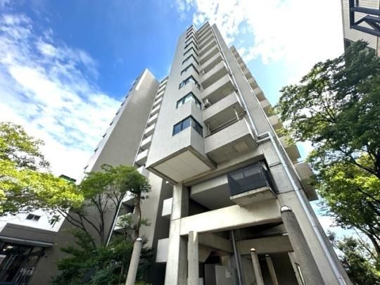 �Z���^�[�q����M �O�ώʐ^