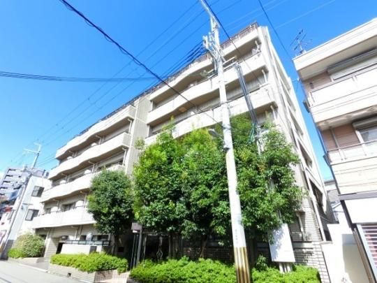 ���C�����n�C�c�V�k��U �O�ώʐ^