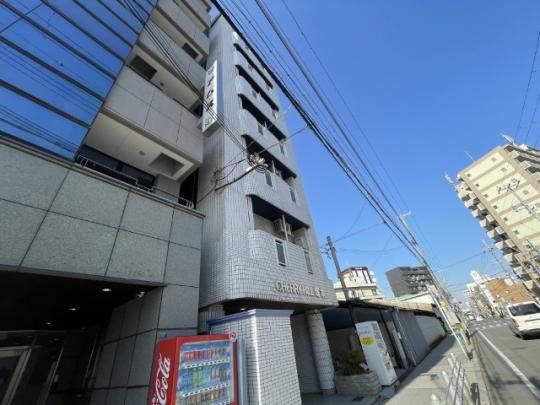 �`�F���[�q���˖{ �O�ώʐ^